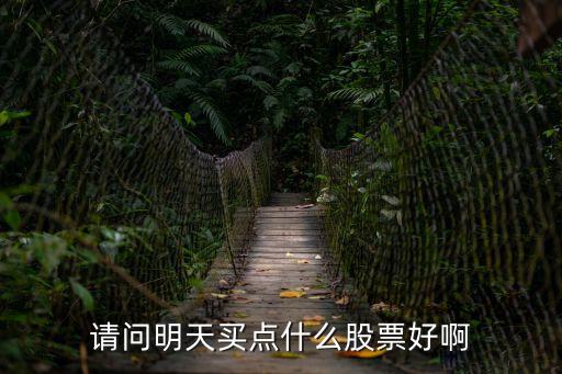 明天买什么科技股票，请问明天买点什么股票好啊