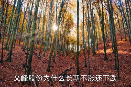 文峰股份为什么长期不涨还下跌