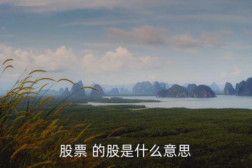 股票 的股是什么意思
