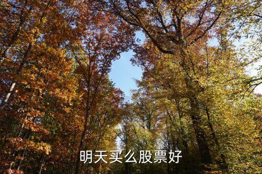 明天买么股票好