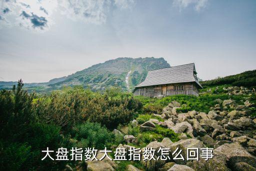 为什么股票会有大盘指数，大盘指数大盘指数怎么回事