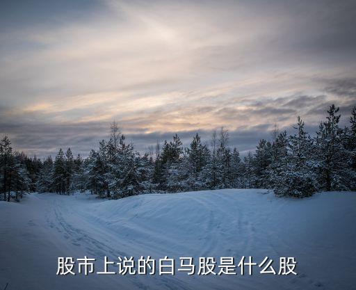 股市上说的白马股是什么股