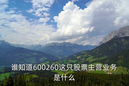 谁知道600260这只股票主营业务是什么