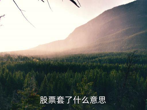 股票套了什么意思