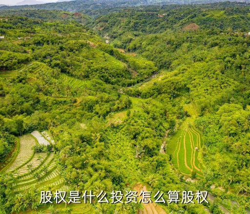 股权是什么投资怎么算股权