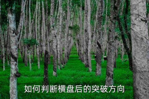 如何判断横盘后的突破方向