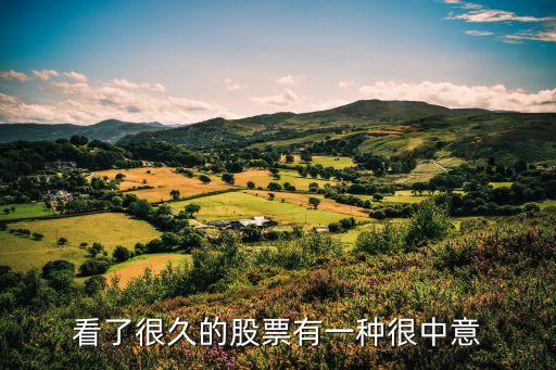 看了很久的股票有一种很中意