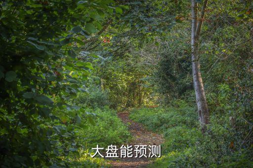大盘能预测