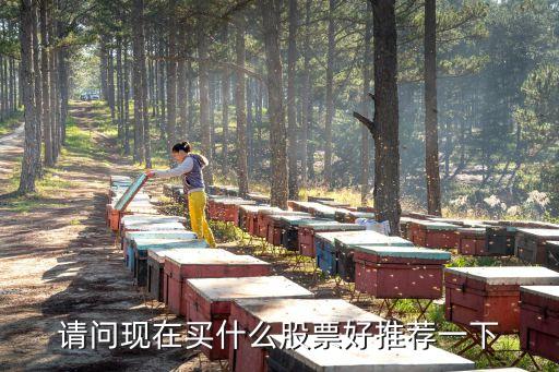 请问现在买什么股票好推荐一下