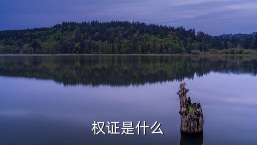 权证是什么