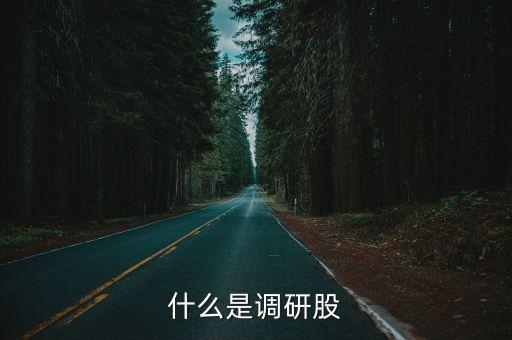 什么是调研股