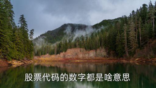 股票代码的数字都是啥意思