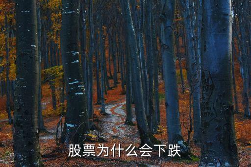 股票为什么会下跌