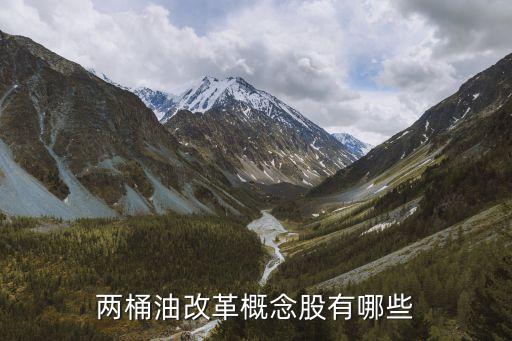 两桶油改革概念股有哪些