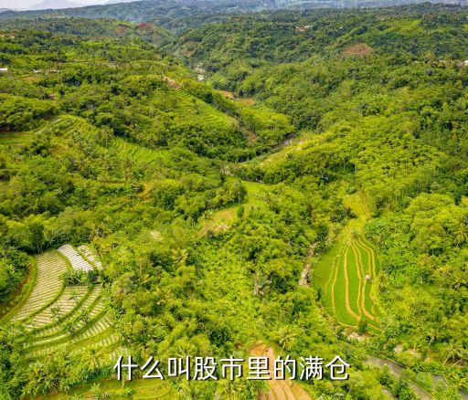 在股市什么是满仓股票，股票满仓是什么意思