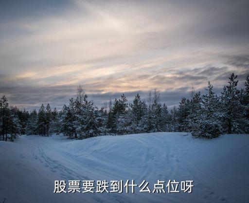 什么地方股票最跌，这波股市最低点在哪