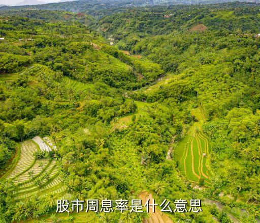 股市周息率是什么意思