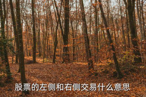 股票的左侧和右侧交易什么意思