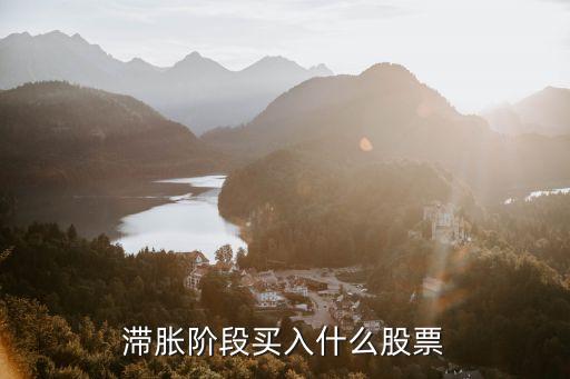 滞胀阶段买入什么股票