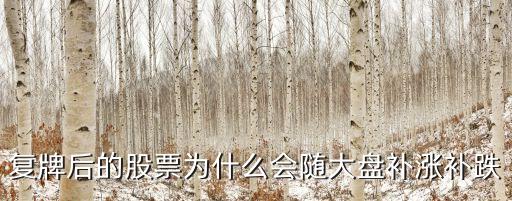 复牌后的股票为什么会随大盘补涨补跌