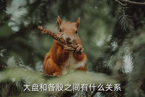 大盘和各股之间有什么关系