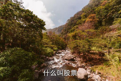 什么叫股票
