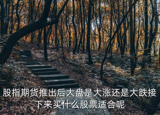 股指期货推出后大盘是大涨还是大跌接下来买什么股票适合呢