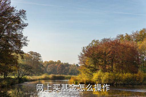 网上买基金怎么操作