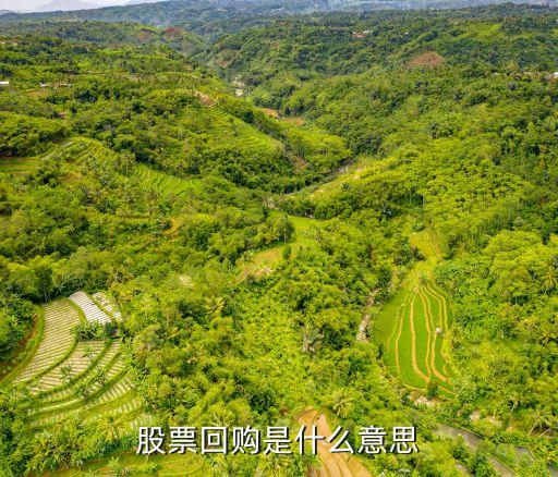 股票回购是什么意思