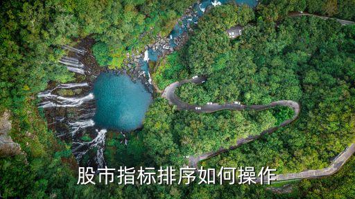 股市指标排序如何操作