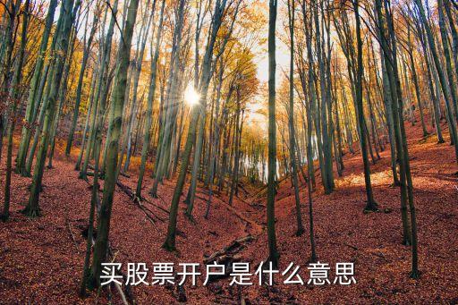 买股票开户是什么意思