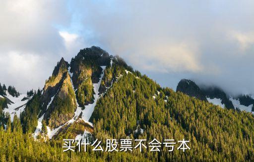 买什么股票不会亏本