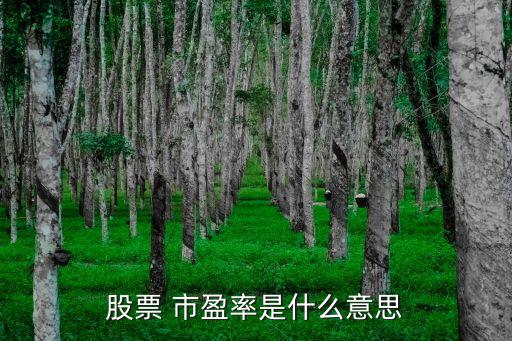 股票 市盈率是什么意思