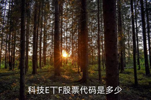 科技E丅F股票代码是多少