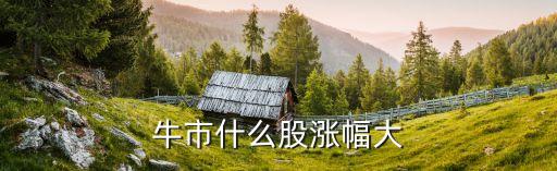 牛市什么股涨幅大