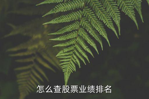 怎么查股票业绩排名