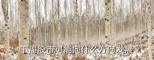 下周股市可能向什么方向发展
