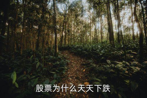 股票为什么天天下跌