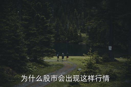 为什么股市会出现这样行情