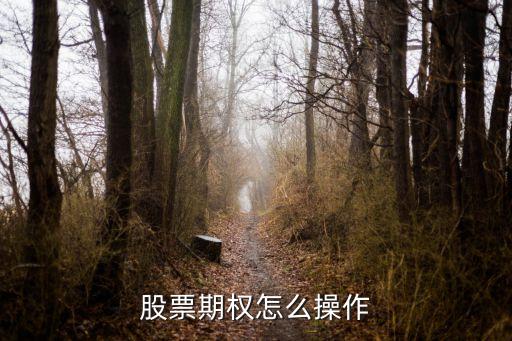 股票期权怎么操作