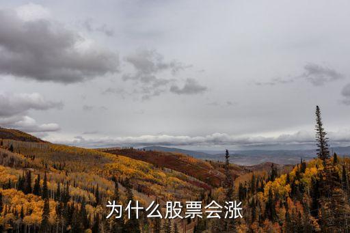 为什么股票会涨