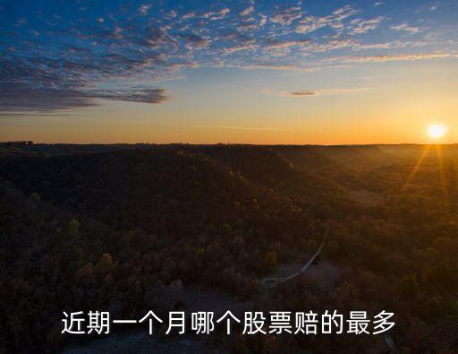 现在什么股票亏损最多啊，今年那个股票跌的最多