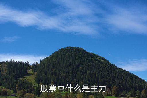 股票中什么是主力