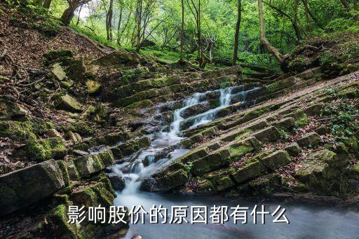 影响股价的原因都有什么