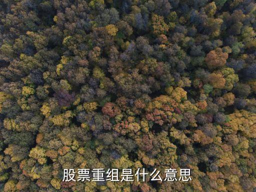 股票重组是什么意思
