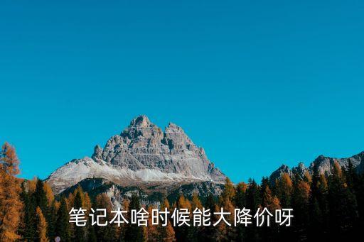 股票打折有什么用处，笔记本啥时候能大降价呀