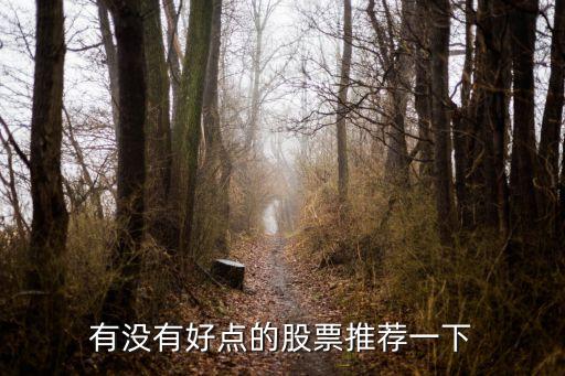 有没有好点的股票推荐一下