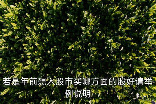 若是年前想入股市买哪方面的股好请举例说明