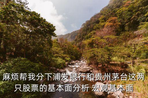 为什么要买贵州茅台股票，麻烦帮我分下浦发银行和贵州茅台这两只股票的基本面分析 宏观基本面