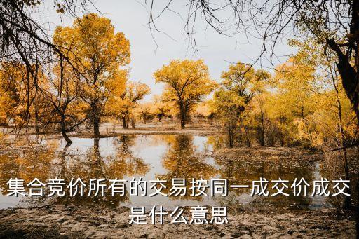 集合竞价所有的交易按同一成交价成交是什么意思